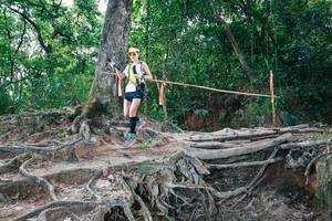 BIB: 
                            <button type="button" onclick="openModal(27721194)" class="btn btn-primary btn-sm float-right btn-popup" data-toggle="modal" data-target=".modal-high-quality">
                        <i class="fas fa-shopping-cart"></i> Add to Cart
                    </button>
                                            <button type="button" onclick="isThisMe(27721194, true)" class="btn btn-success btn-sm float-right btn-popup btn-isme hidden" data-toggle="tooltip" data-placement="bottom" title="นี่คือรูปของคุณใช่ไหม คลิกที่นี่เพื่อเอาเข้าอัลบั้ม">
                        <i class="fas fa-plus"></i> Add to album
                    </button>
                    <button type="button" onclick="isThisMe(27721194, false)" class="btn btn-warning btn-sm float-right btn-popup btn-isnotme hidden">
                        <i class="fas fa-ban"></i> Remove from album
                    </button>